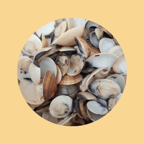 Steamed Clams