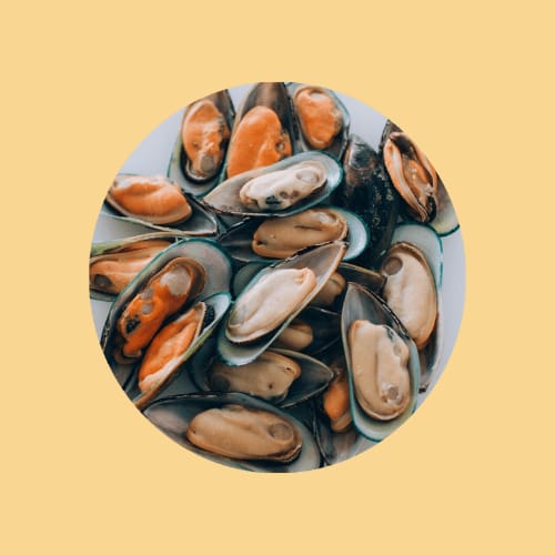 Steamed Mussels